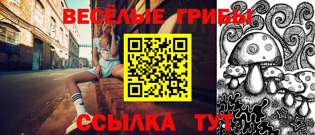 Егорьевск  купить наркотики сайты  Вход с VPN  Галлюциногенные грибы Magic Shrooms  Галлюциногенные грибы MAGIC MUSHROOMS 