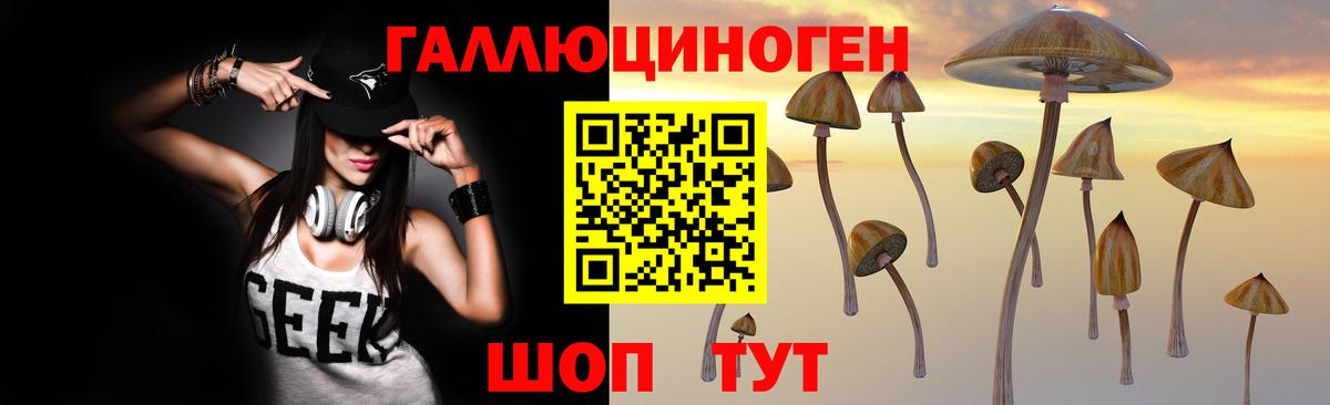 Псилоцибиновые грибы мухоморы Егорьевск